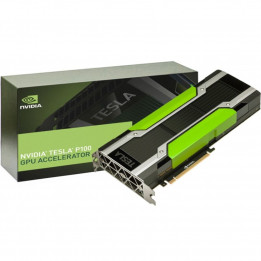 Графический процессор NVIDIA TE -16GB-PB купить | AFOX.SU