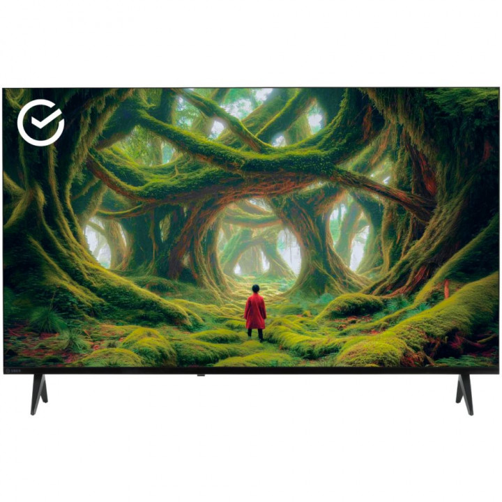 Телевизор 55" Sber SDX-55U5500DBB 4K 32GB | AFOX.SU