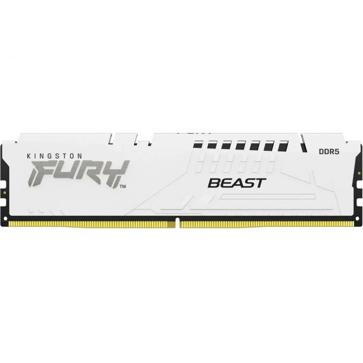 Kingston FURY Beast White 32 ГБ DDR5-5600 CL40 | AFOX.SU