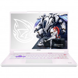 Ноутбук MSI Crosshair A16 HX E8WGXK-089XRUY | AFOX.SU