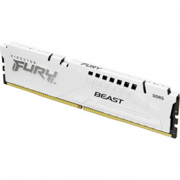 Модуль памяти Kingston KF556C36BWE-16